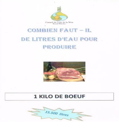 foire de bourail 1